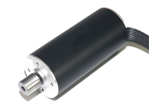 <b>24mm Durchmesser 53mm Länge 24V kernloser Bürstenloser Motor 2453</b>